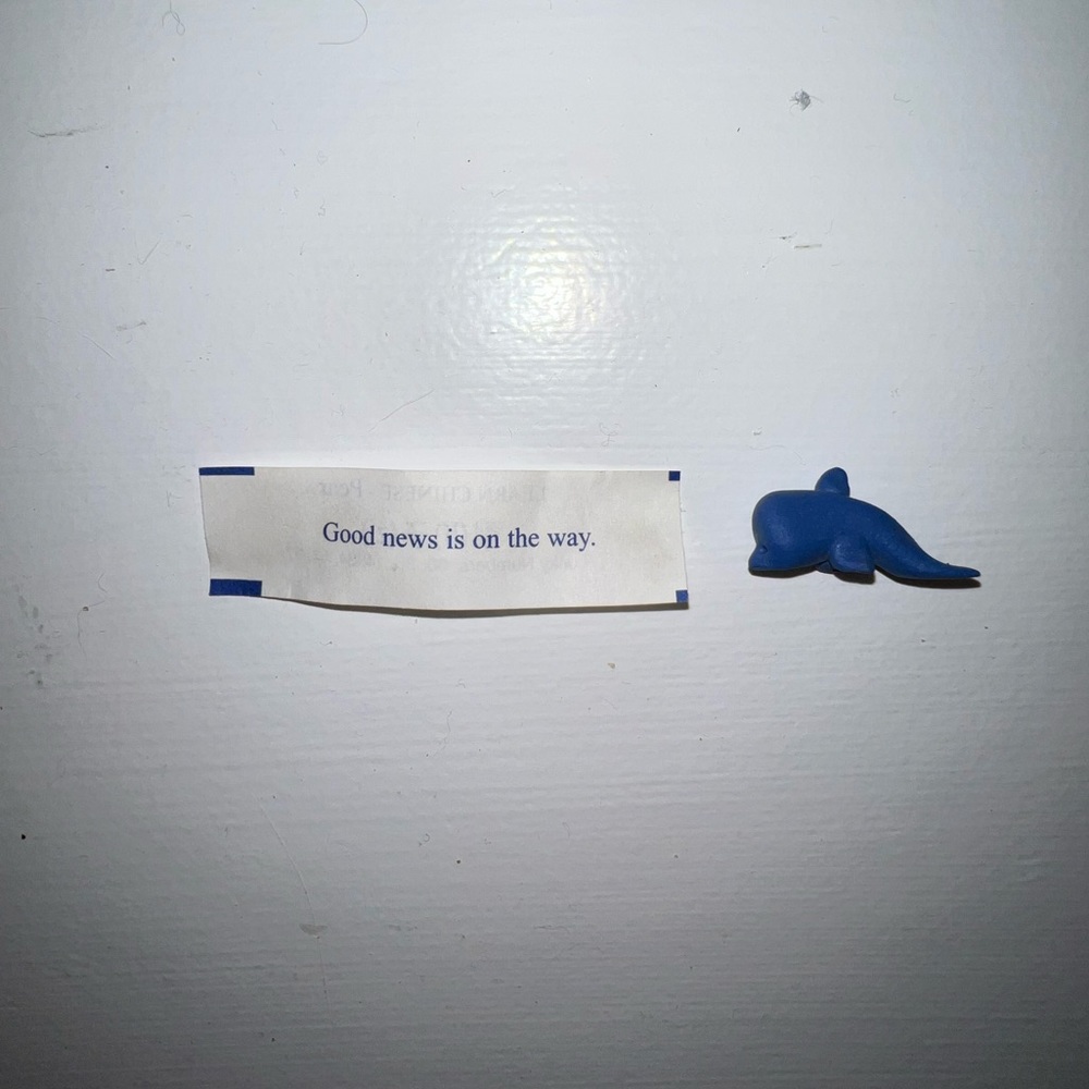 please give me a good home!! clay dolphin baby